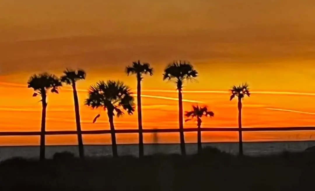 Shores Of Panama 2326 - 1 Bedroom Bunks Sleeps 6, Reserved Parking! Condo Panama City Beach 0*,